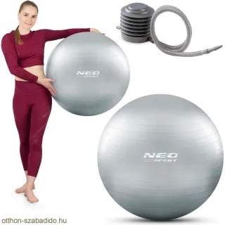 Gyakorlólabda 65 cm NS-951 ezüst