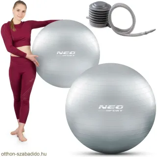 Gyakorlólabda 75 cm NS-952 ezüst